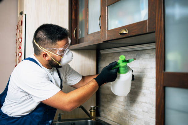 Best Wildlife Control Services  in Ridgeland, SC