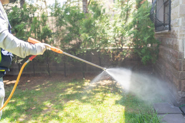 Best Pest Inspection Near Me  in Ridgeland, SC