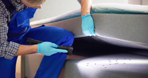 Best Ant Control Services  in Ridgeland, SC