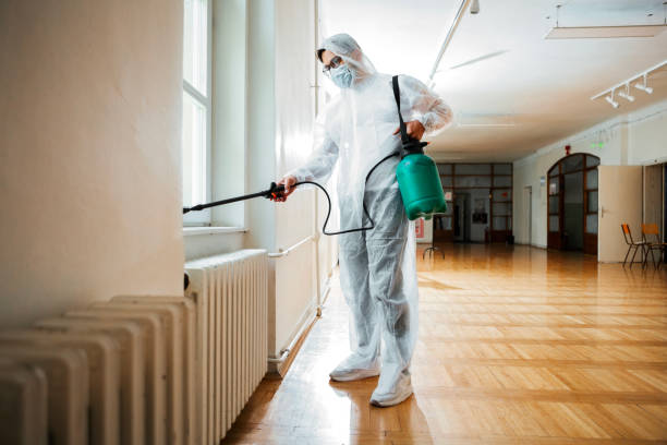 Pest Prevention Services in Ridgeland, SC