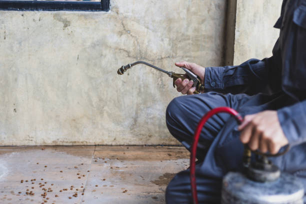 Reliable Ridgeland, SC Pest Control Solutions